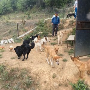 PHOTO-2025-05-09-12-00-23 2