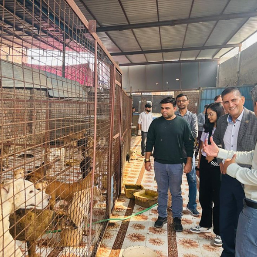 People for Animal Trust